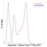 Arginase 1 Antibody in Flow Cytometry (Flow)