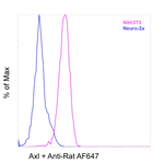 Axl Recombinant Rat Monoclonal Antibody (MAXL8DS)