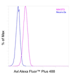 Axl Antibody