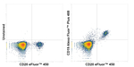 CD19 Recombinant Mouse Monoclonal Antibody (HIB19), Alexa Fluor™ Plus 488