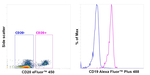 CD19 Antibody
