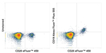CD19 Recombinant Mouse Monoclonal Antibody (HIB19), Alexa Fluor™ Plus 555