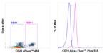 CD19 Antibody