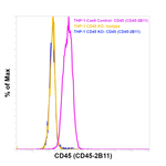 CD45 Antibody