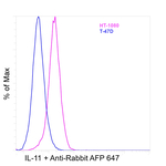 IL-11 Recombinant Rabbit Monoclonal Antibody (R4P1-C12)
