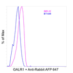 GALR1 Antibody in Flow Cytometry (Flow)