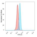 ZNF157 Antibody in Flow Cytometry (Flow)