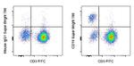 CD19 Monoclonal Antibody (HIB19), Super Bright™ 780, eBioscience™