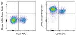 CD45.2 Monoclonal Antibody (104), Super Bright™ 780, eBioscience™
