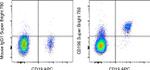 CD196 (CCR6) Monoclonal Antibody (R6H1), Super Bright™ 780, eBioscience™