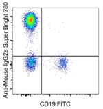 Rat anti-Mouse IgG2a Secondary Antibody, Super Bright™ 780, eBioscience™