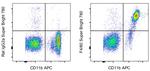 F4/80 Monoclonal Antibody (BM8), Super Bright™ 780, eBioscience™