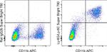 Ly-6G/Ly-6C Monoclonal Antibody (RB6-8C5), Super Bright™ 780, eBioscience™