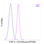 FGF-2 Antibody in Flow Cytometry (Flow)