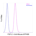FGF-2 Antibody in Flow Cytometry (Flow)
