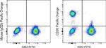 CD20 Antibody in Flow Cytometry (Flow)