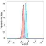 ZNF343 (Transcription Factor) Monoclonal Antibody (PCRP-ZNF343-4F8)
