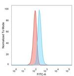 ZNF408/PRDM17 (Transcription Factor) Monoclonal Antibody (PCRP-ZNF408-1E5)