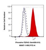 Phospho-TDP43 (Ser409, Ser410) Antibody in Flow Cytometry (Flow)
