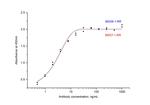 SARS-CoV-2 Nucleocapsid Phosphoprotein Antibody in ELISA (ELISA)