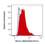Phospho-STAT5A (Tyr694) Antibody in Flow Cytometry (Flow)