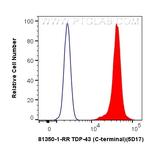 TDP-43 Antibody in Flow Cytometry (Flow)