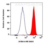 SNAI1 Antibody in Flow Cytometry (Flow)