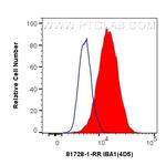 IBA1 Antibody in Flow Cytometry (Flow)