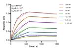 CD71 Antibody in Surface plasmon resonance (SPR)