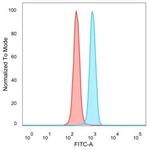 ZNF239 Monoclonal Antibody (PCRP-ZNF239-2A10)