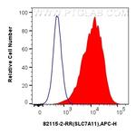 SLC7A11/xCT Antibody in Flow Cytometry (Flow)