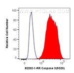 Caspase 3 Antibody in Flow Cytometry (Flow)