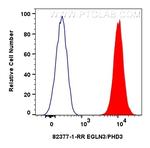 EGLN3/PHD3 Antibody in Flow Cytometry (Flow)