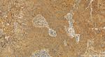 MCL1 Antibody in Immunohistochemistry (Paraffin) (IHC (P))