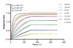LDLR Antibody in Surface plasmon resonance (SPR)