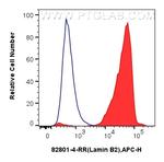 Lamin B2 Antibody in Flow Cytometry (Flow)
