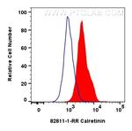Calretinin Antibody in Flow Cytometry (Flow)