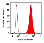 NOX2 Antibody in Flow Cytometry (Flow)