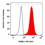 OAS1 Antibody in Flow Cytometry (Flow)