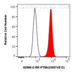 IFT88 Antibody in Flow Cytometry (Flow)