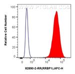 RRBP1 Antibody in Flow Cytometry (Flow)