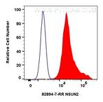 NSUN2 Antibody in Flow Cytometry (Flow)