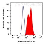 FANCM Antibody in Flow Cytometry (Flow)