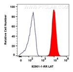 LAT Antibody in Flow Cytometry (Flow)