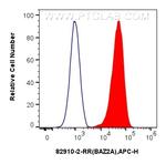 BAZ2A Antibody in Flow Cytometry (Flow)
