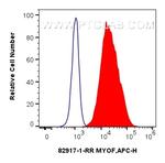 MYOF Antibody in Flow Cytometry (Flow)