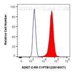 CYP7B1 Antibody in Flow Cytometry (Flow)