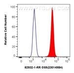 OS9 Antibody in Flow Cytometry (Flow)