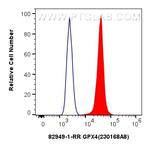 GPX4 Antibody in Flow Cytometry (Flow)
