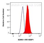 HEBP1 Antibody in Flow Cytometry (Flow)